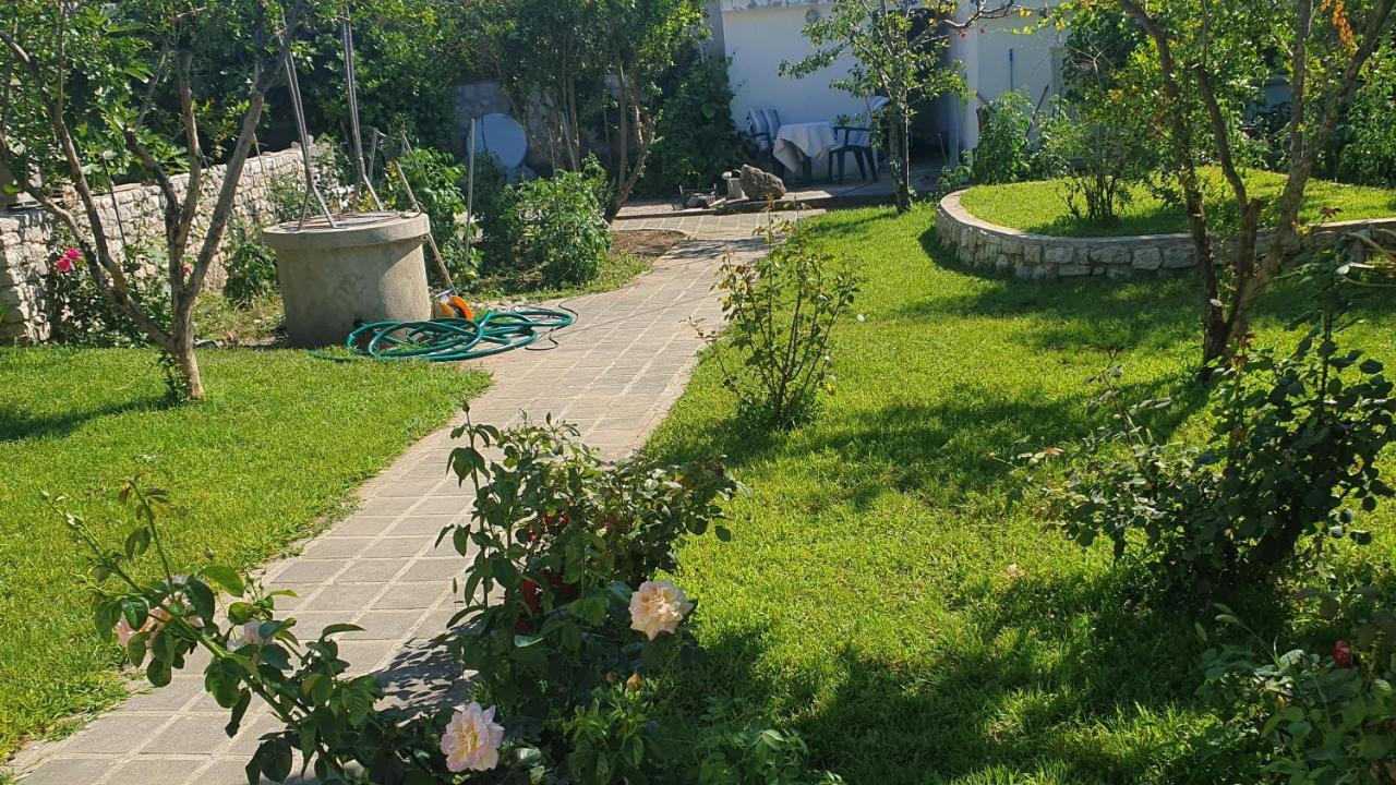 Apartments And Rooms With Parking Space Nin, Zadar - 5805 Екстериор снимка